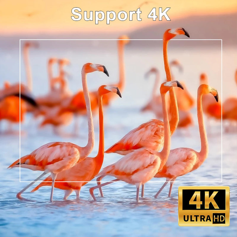 Projetor Portátil 4K Wi-Fi